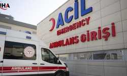 Ordu Kumru'da Yolcu Minibüsü Devrildi: 9 Yaralı