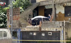 Kayıp Kedisini Ararken Korkunç Manzarayla Yüzleşti