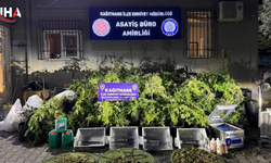 Kağıthane'de 60 Metrekarelik Zehir Tarlasına Ağır Darbe
