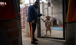 Arjantinli Martín’in Fedakarlık Dolu Yaşam Mücadelesi