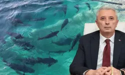 Dünyanın Çipura Ve Levrek Lideri Türkiye: 100 Ülkeye İhracat