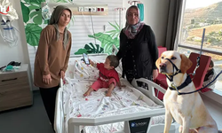 Niğde'de İhmal Kazası: 2 Yaşındaki Egemen'in Kafasına Tam 22 Dikiş Atıldı