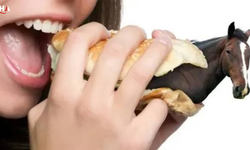 Sucuk Ve Kıymadan At-Eşek Eti Çıktı