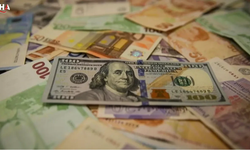 Dövizde Ayrışma: Dolar Tırmanışta, Euro'da Geri Çekilme