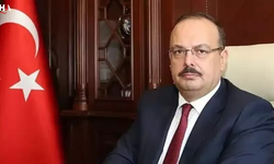 Yakup Canbolat: Ankara'da 52 Bin Sokak Hayvanı Toplandı