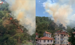Kastamonu'da Orman Yangını: Alevler 40 Dönüm Araziyi Kül Etti