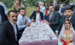 Şırnak'ta Düğün Rekoru: 35 Koyun Kesildi, 6 Milyon TL Takıldı