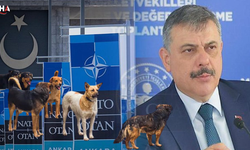 Bakan Çiftçi Tedbirleri Abartmadık, Ülkemizin İmajını Koruduk
