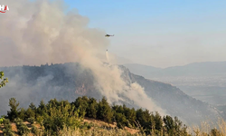 Pamukkale’de 14,5 Saatlik Yangın Kabusu Bitti
