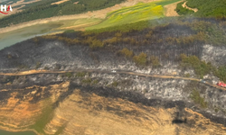 Tekirdağ'da Ormanlık Alanda Yangın Paniği