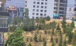 Mamak'ta Kuru Otlar Yandı: Mahalleli Tepkili