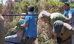 Bodrum'da Akılalmaz Olay: Kayıp Kadın Kendini Yakmak İsterken Bodrum'u Yaktı