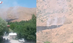 Bitlis'te Alevlerle Zorlu Mücadele: Binlerce Arı Telef Oldu