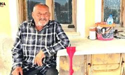 İzmir'de Yaşlı Adam Ayı Saldırısı Sonucu Can Verdi