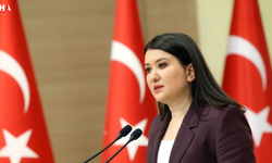 CHP'li Gökçen'den Deniz Göktaş Açıklaması: Serbest Bırakılmalı