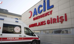 Kastamonu'da İlaçlı Kirazı Yiyen Yaşlı Çift Hastanelik Oldu