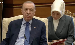 Cumhurbaşkanlığı Tercümanı Fatma Gülham Abushanab Kimdir