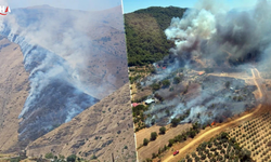 3 Koldan Orman Yangını Kabusu! Muğla, Elazığ Ve Aydın’da Alevlerle Savaş