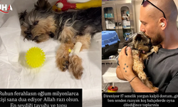 Cem Özkök'ten Yürek Burkan Paylaşım: Köpeği Hastalandı