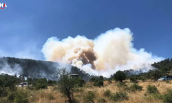 Balıkesir'de Yangın Kabusu