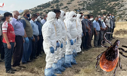 Burdur'da Kırım-Kongo Şüphesiyle Kahreden Ölüm
