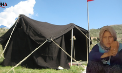 Sarp Kayalıklarda Zamana Karşı Yarış: Mersin'de Kaybolan Kadın İçin Köpekler İz Sürüyor