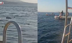 Çarpışmayı Fark Edip Denize Atladılar: Yalova'daki Deniz Kazasından Mucize Kurtuluş