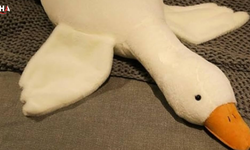Popüler Peluş Kaz Oyuncağı İçin Toplatma Kararı