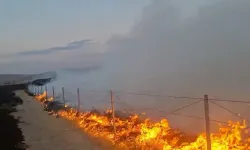 Gordion SİT Alanındaki Yangının Faili Tutuklandı: 2,81 Promil Alkollü Çıktı