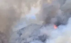 Alanya'da Orman Yangını: Ekiplerin Hızlı Müdahalesiyle Alevler Kontrol Altında