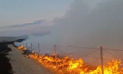 Ankara Polatlı'da Yangın Çıkardı! 2,81 Promil Alkollü Olduğu Ortaya Çıktı