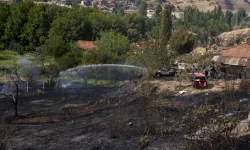 Ankara'da Otluk Alanda Çıkan Yangın Söndürüldü