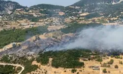 Antalya'da Orman Yangını! Ekipler Alevleri Kontrol Altına Almaya Çalışıyor
