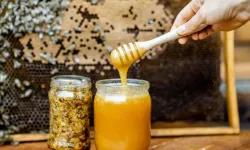 Bakanlığın Listesine Bir Bal Markası Daha Girdi