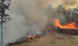 Bolu’da Korkutan Yangın: Ekipler Seferber Oldu