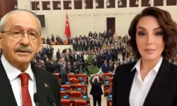 CHP'li İsimden 'Çerçeve Yasa' İstifası! 4 Gün Önce Göreve Getirilmişti…