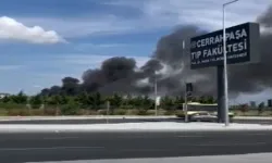 Cerrahpaşa Tıp Fakültesi Hastanesi Bahçesinde Yangın: İtfaiye Ekipleri Sevk Edildi
