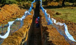 MTA Korkutan Haritayı Yayımladı: Türkiye'deki Diri Fay Sayısı 700'e Çıktı! İzmir'de 11 İlçe İçin Büyük Deprem Alarmı