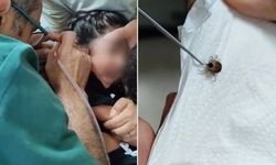 Kulak Ağrısının Nedeni Şok Etti! 5 Yaşındaki Çocuğun Kulağından Kene Çıktı