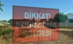 Diyarbakır'da 'Kuduz' Alarmı: Kedinin Isırdığı Çocuk Entübe Edildi