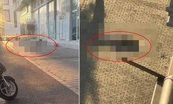 Mardin'de Şüpheli Kadın Ölümü! 5'inci Kattan 'Düştü', Eşi Gözaltında