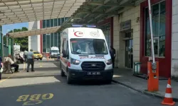 Ordu'da Irmağa Giren 2 kardeşten 1'i Öldü