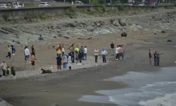 Rize'den Acı Haber: Denize Giren Kardeşlerden Biri Boğuldu, Diğeri Kayboldu