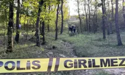 Samsun'da Ormanda Bir Kişinin Cansız Bedeni Bulundu