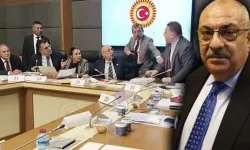 AK Partili Türkeş'ten MHP’li Bülbül'e: Teröriste Gösterilen Toleransı Beklerdim!