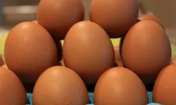 Marketlerde Salmonella Alarmı! O Yumurtalar İçin “Sakın Yemeyin” Uyarısı