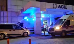 Sapanca'da Aile Faciası: 16 Yaşındaki Genç Annesini Öldürüp Kayıplara Karıştı