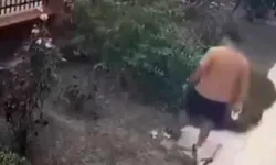 İzmir'de Yavrulu Kediye Şiddet Uygulayan Şahıs Yakalandı!