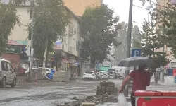 Ardahan'da Dolu Yağışı Etkili Oldu