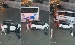 DEAŞ'lı Terörist İstanbul'da Böyle Etkisiz Hale Getirildi! Nefes Kesen Operasyon Kamerada